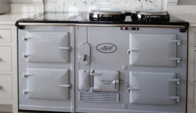 electric aga_1